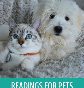 30-Minute Reading for Your Pet