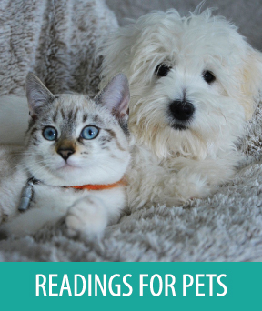 30-Minute Reading for Your Pet